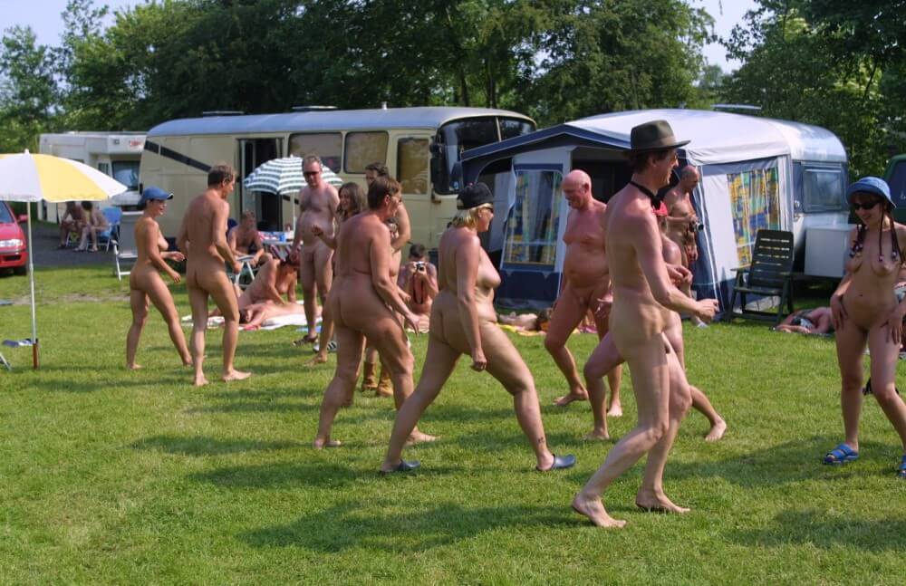 オランダの緑のリラックスの写真